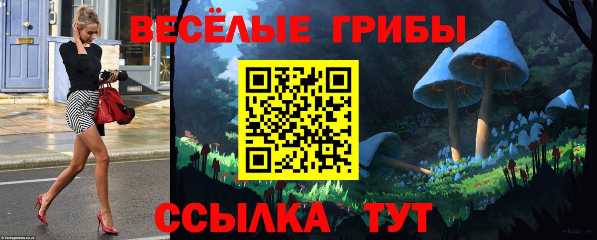 Галлюциногенные грибы мухоморы  Вход с VPN  Лосино-Петровский  Псилоцибиновые грибы прущие грибы 